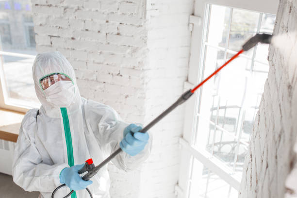 Best HVAC Mold Inspection and Cleaning  in Thompson Falls, MT
