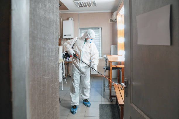 Best Crawl Space Mold Remediation  in Thompson Falls, MT