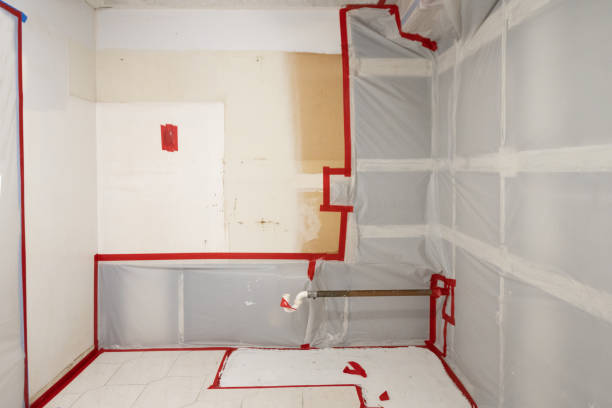 Best Comprehensive Air Testing for Mold Contaminants  in Thompson Falls, MT