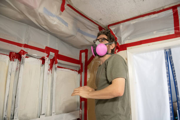 Best Asbestos and Lead Testing During Mold Inspection  in Thompson Falls, MT