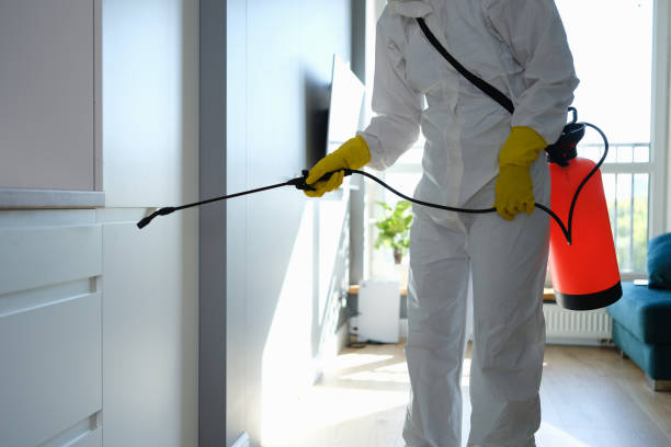 Mold Documentation for Insurance Claims in Thompson Falls, MT