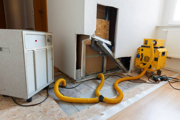 Best Water Damage & Mold Remediation  in Thompson Falls, MT