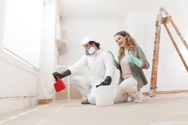 Best Mold Removal for HVAC Installations  in Thompson Falls, MT