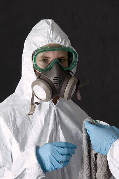 Best Industrial Mold Remediation  in Thompson Falls, MT